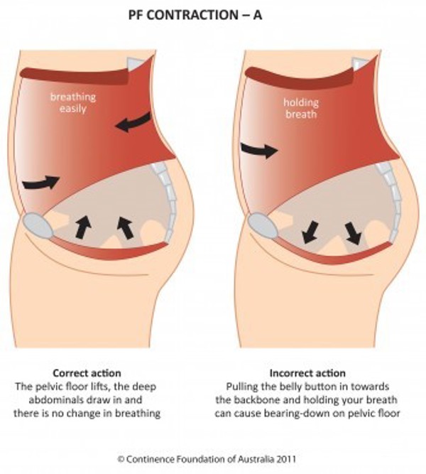 Breathe easy and connect to your core, Spring Physio Blog