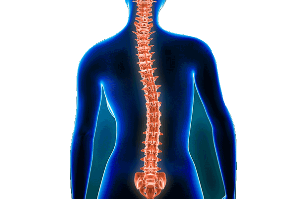 Scoliosis Assessment and Management